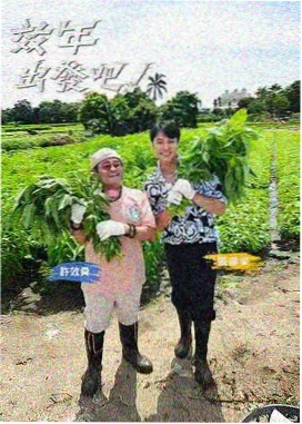 手作纪实综艺《一间工作室》封面